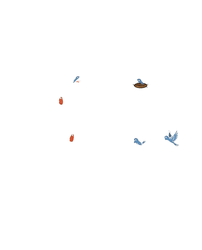Vogelnest
